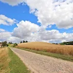Alte Schmiede