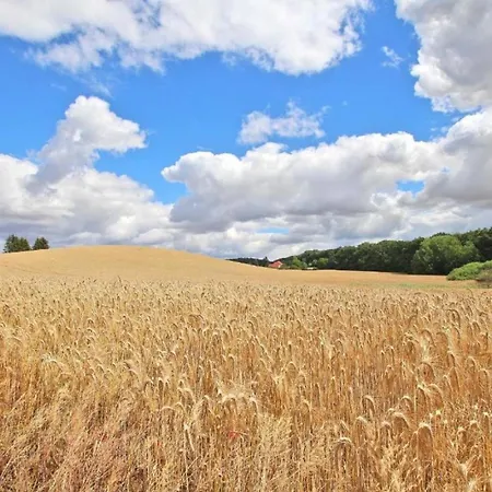Hébergement de vacances Alte Schmiede *